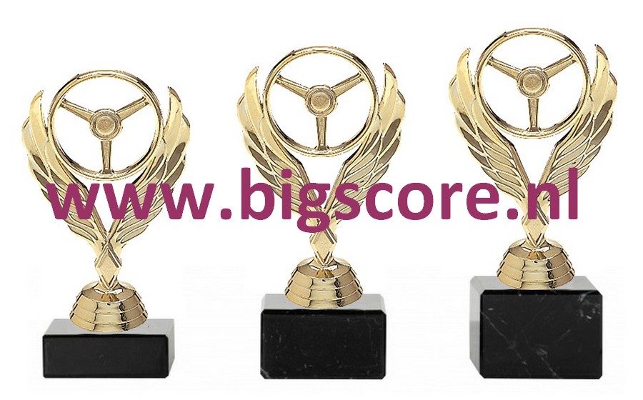 Autosport Goud 4014-G